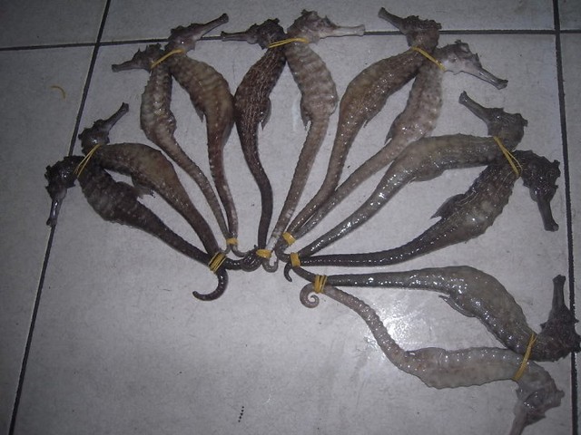 8 bài thuốc phòng chữa liệt dương