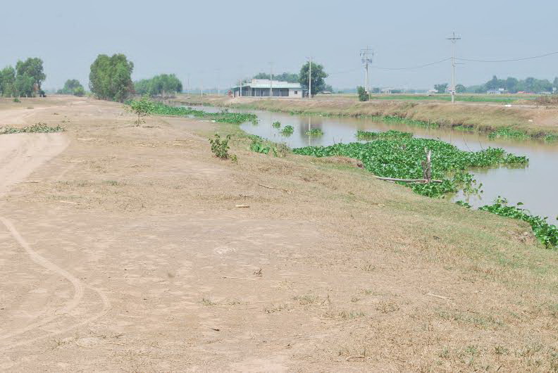 Đi câu cá, bị đâm chết