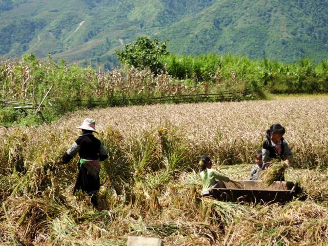 Hãy lắng nghe nông dân