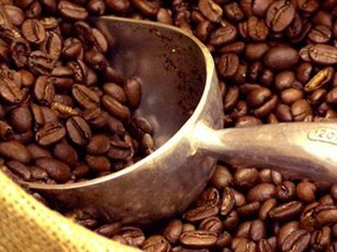 Giá cà phê tăng mạnh do ảnh hưởng hạn hán