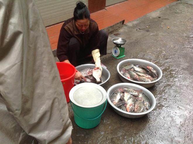 Cá trắm Hồ Tây giá nửa triệu đồng vẫn hút khách