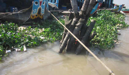 Phát hiện một thi thể trôi dạt vào cảng cá Mỹ Tho