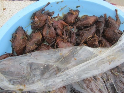 Hơn 1 000 vịt con đội lốt chim sẻ quay bị bắt tại trận