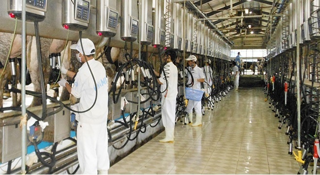 VNM: Công ty Cổ phần Sữa Việt Nam 