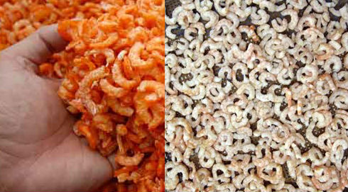 Phù phép tôm thối thành hải sản khô