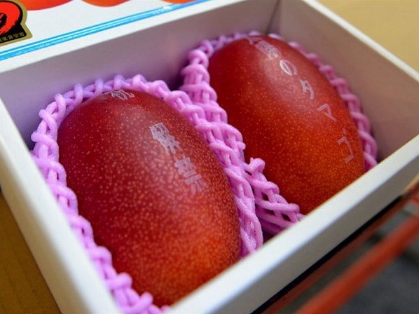 Cặp xoài được bán với giá kỷ lục 3000 USD