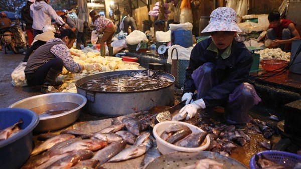 Bát nháo thực phẩm chợ đầu mối