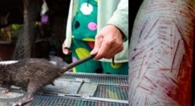 Những tin đồn rùng rợn lan truyền khiến dư luận hoang mang