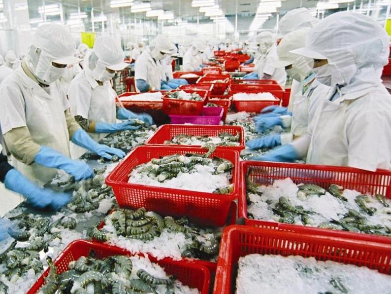 Nông nghiệp mừng, lo trước TPP