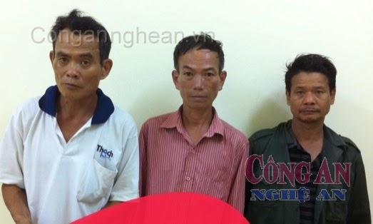 Truy tìm 10 con bò… bốc hơi