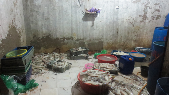 Phù phép hải sản bẩn ngay tại chợ