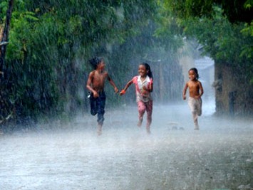 Vũ khúc mưa trên ngói