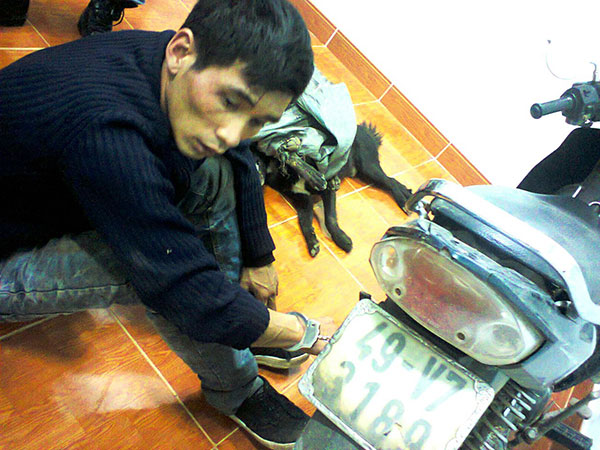 Băng trộm chó chuyên nghiệp sa lưới