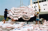 Hoang mang khi Trung Quốc nhập mạnh gạo Việt Nam