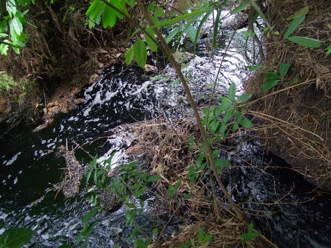 Phát hiện Nhà máy đường Biên Hòa Tây Ninh xả thải ra môi trường