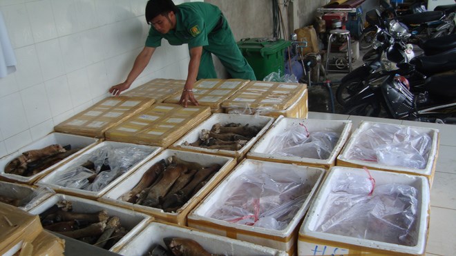 Nguy hại thịt bẩn ngoại nhập