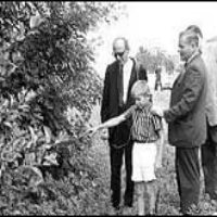 Người mẹ hư hỏng và cái chết của 2 đứa trẻ - Kỳ 2