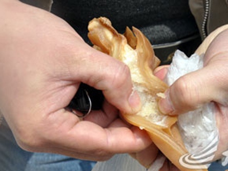 Hốt hoảng với những đồ ăn của Trung Quốc làm bằng cao su