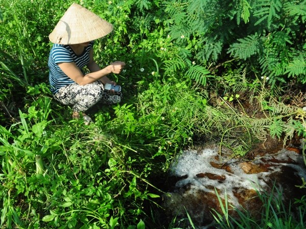 Ô nhiễm ở dự án bò sữa TH True Milk 700 hộ dân phải di dời