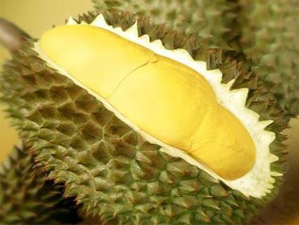 Bốn món ăn bốc mùi được ưa thích ở Việt Nam