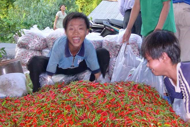 Nhiều loại nông sản rớt giá