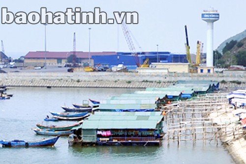 Mực nháy Vũng Áng