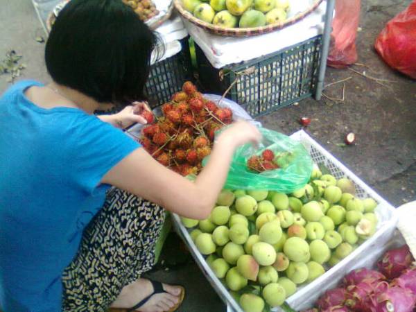 Nhập nhèm đào Trung Quốc đội lốt đào Tây Bắc