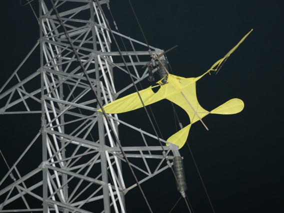 Hiểm họa từ những cánh diều