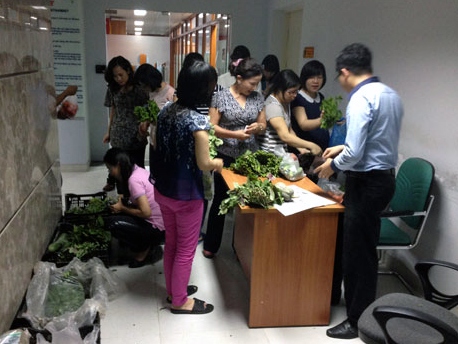 Thời ề hề rau sạch, chở ôtô bán tận công sở