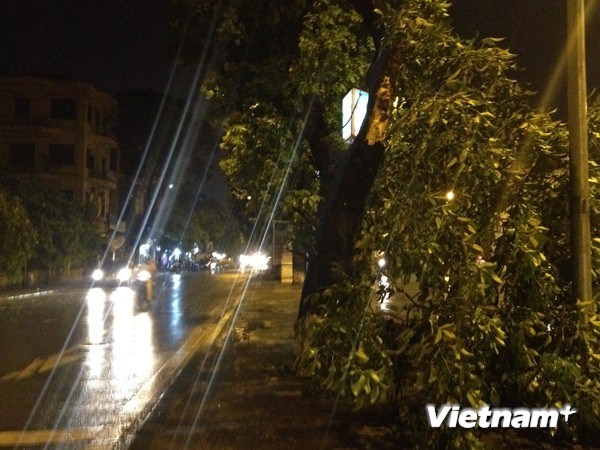 Khu vực Bắc Bộ tiếp tục có mưa rào và dông vào chiều tối