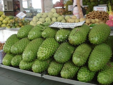 Mãng cầu xiêm trị ung thư Bác sĩ nói gì về thần dược này