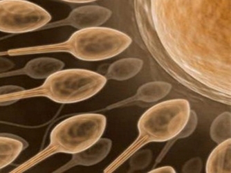 Rao bán tinh trùng để mua iPhone