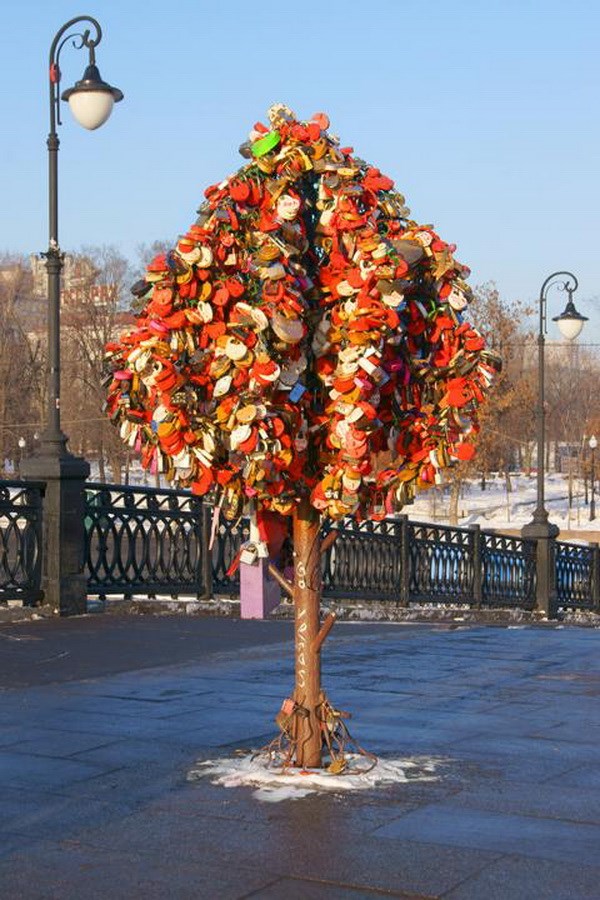 Cây tình yêu ở trên cầu Luzhkov, Moska (Nga).