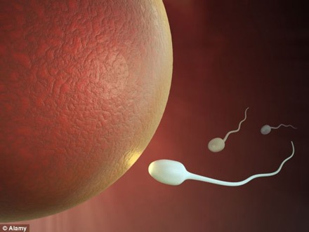 Giảm chất lượng tinh trùng vì để điện thoại trong túi quần