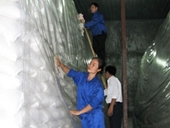 Hỗ trợ Tuyên Quang 311 tấn gạo