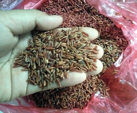 Gạo lứt chữa bách bệnh Thực, hư tin đồn