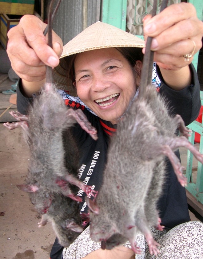 Chị Cao Thị Hà cho biết, chuột Campuchia chiếm 85% số chuột bán tại cửa khẩu. Ảnh: Ngọc Trinh.
