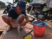 Độc đáo câu cá trên  vỉa hè ở Sài Gòn