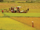 VietinBank dành hơn 72 000 tỷ đồng cho khu vực nông nghiệp nông thôn