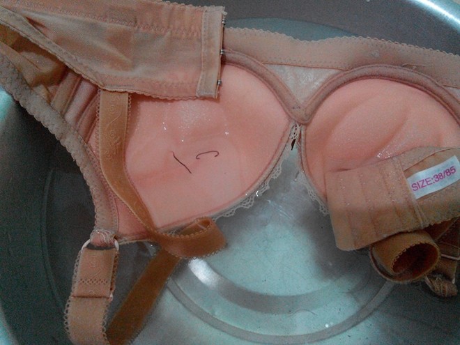 Phát hoảng với áo ngực lúc nhúc dòi bọ