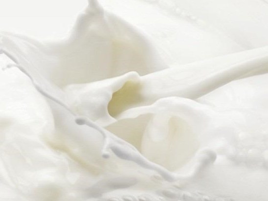 Vì sao sữa làm tăng nguy cơ tử vong ở bệnh nhân ung thư vú