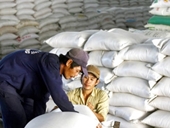 Giá gạo 5 tấm tăng đến 350 000 đồng kg