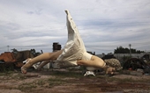 Trung Quốc vứt bỏ tượng Marilyn Monroe ra bãi rác