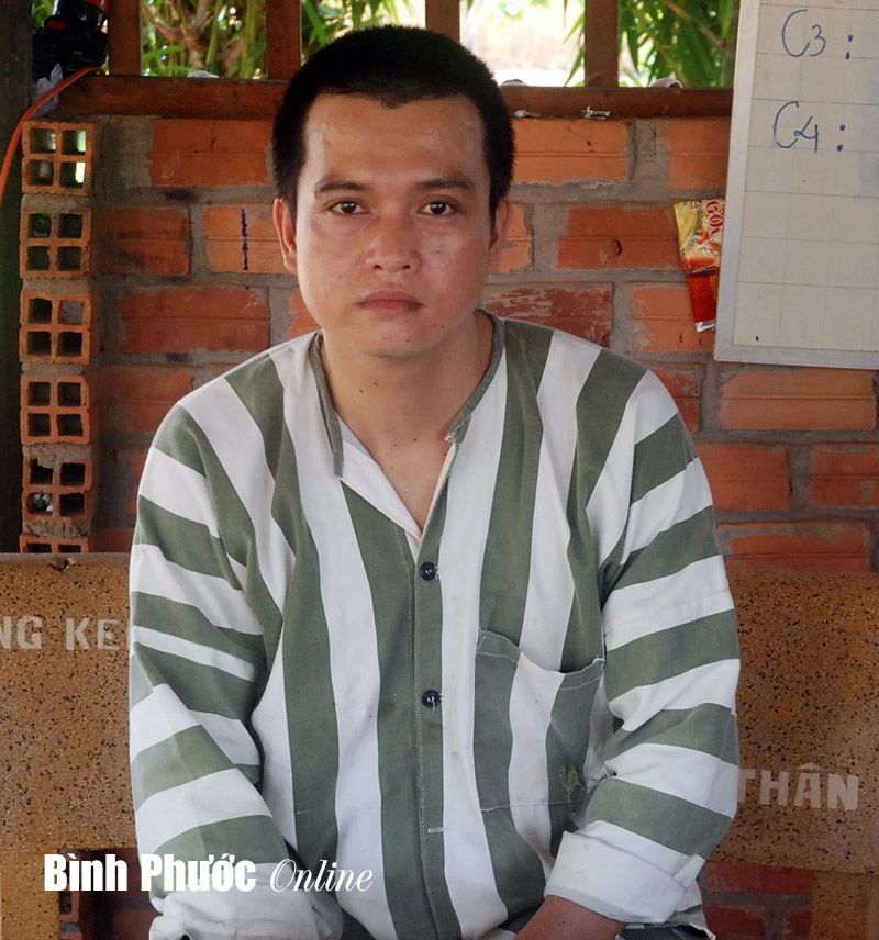 Chôn vùi tương lai vì nàng tiên nâu