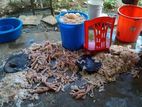 Nem chua bẩn vùi dập đặc sản xứ Thanh