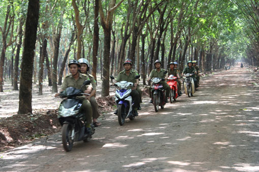 Triệt phá nhiều vụ vận chuyển ma túy