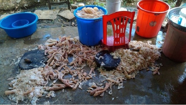 Nem chua bẩn làm xấu mặt đặc sản xứ Thanh