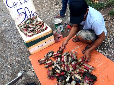 Cua biển nằm ngửa, 50 nghìn kg tràn vỉa hè Hà Nội