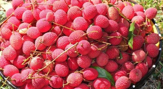 Sự thật đằng sau thông tin vải Trung Quốc tràn vào Việt Nam