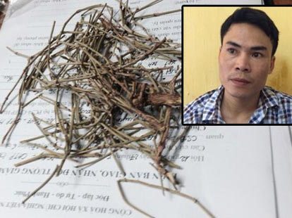 Phá xưởng chế ma túy tổng hợp tại gia